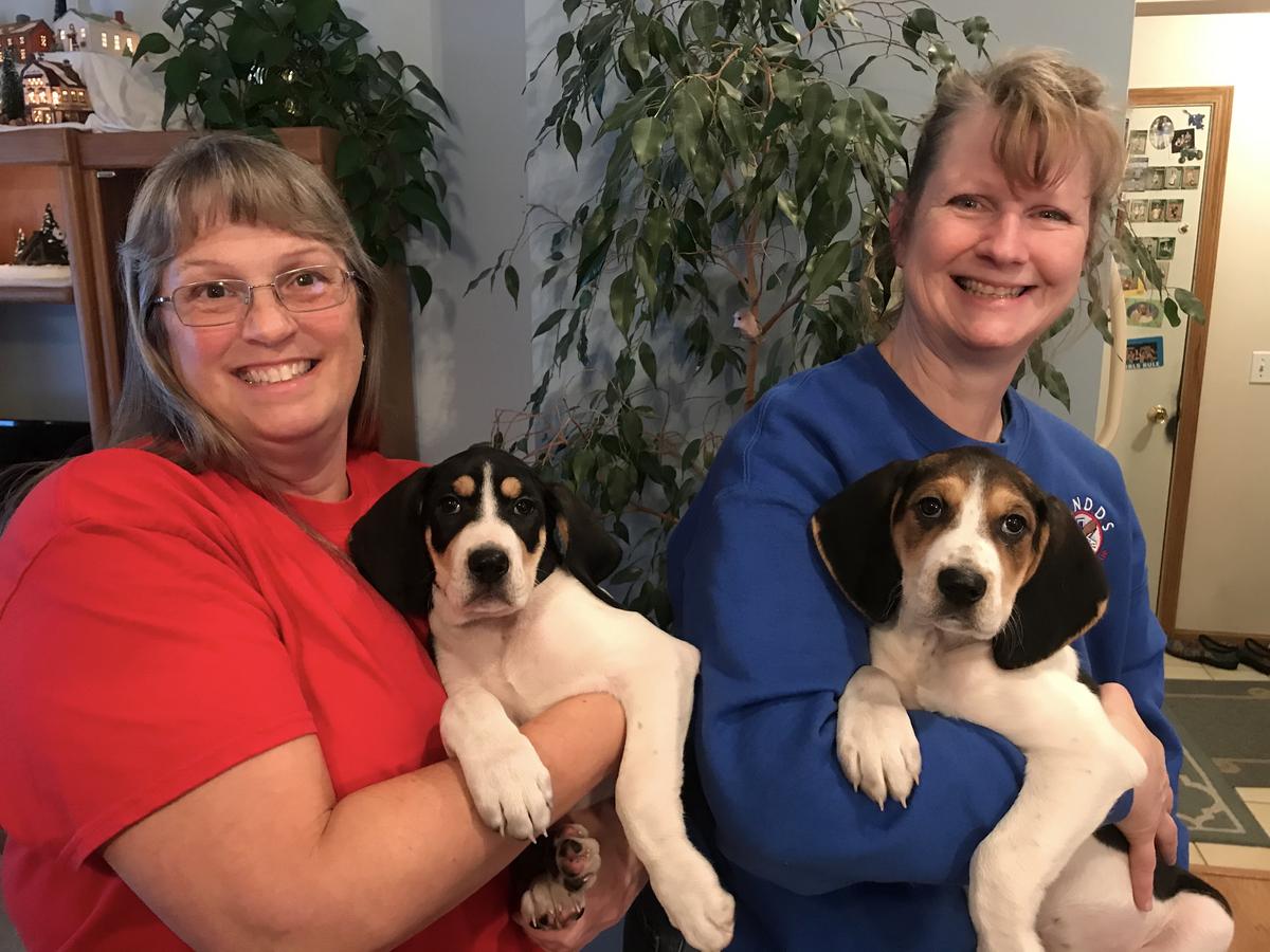 Dog rescue in Traverse City sees uptick in pet returns WCMU Public Radio