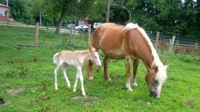 so understanding all of those factors has really helped me