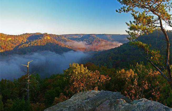 Kentucky's Red November: Audio Documentary of the Undamming of Red ...