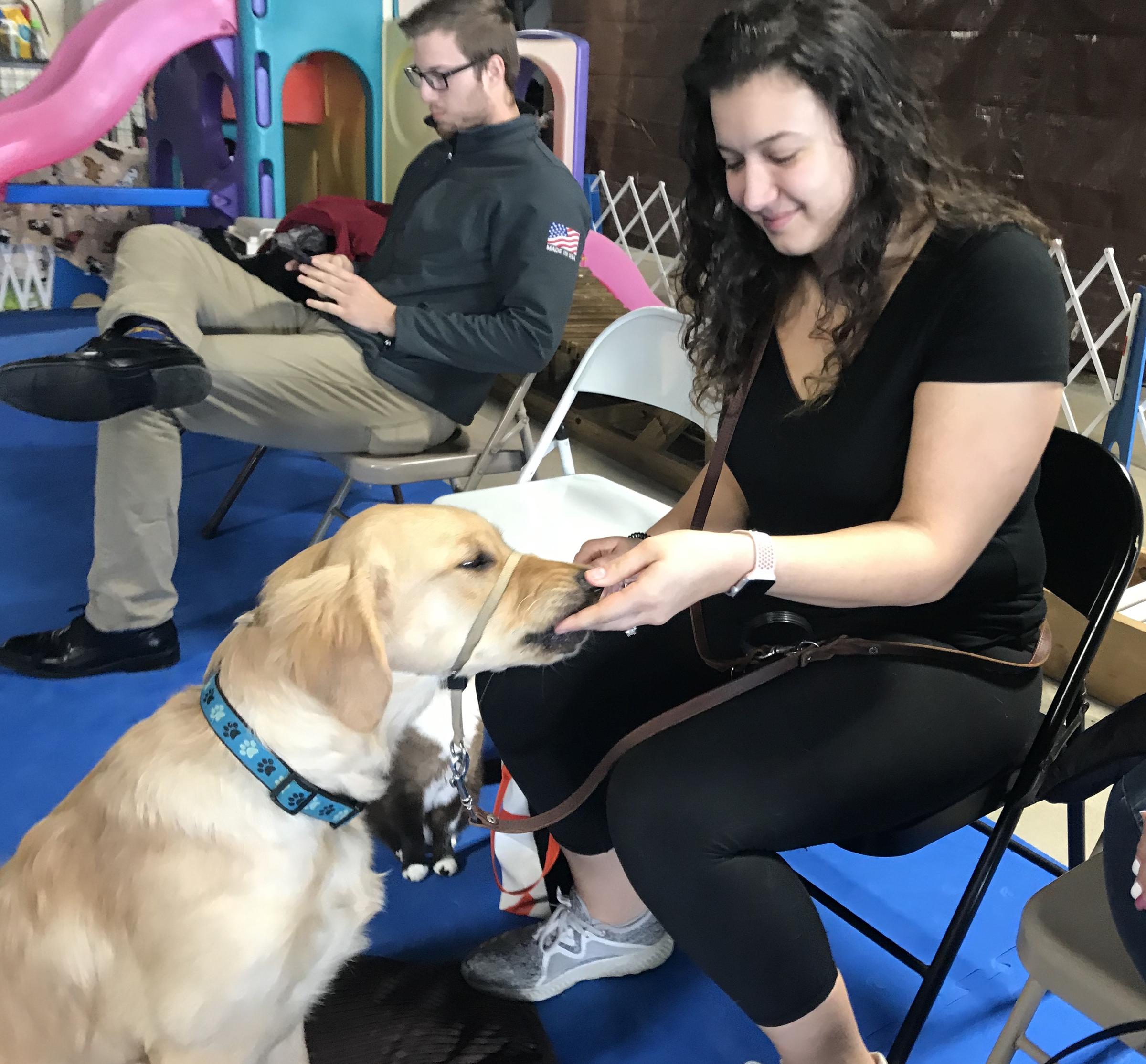 service dogs are companions and lifesavers