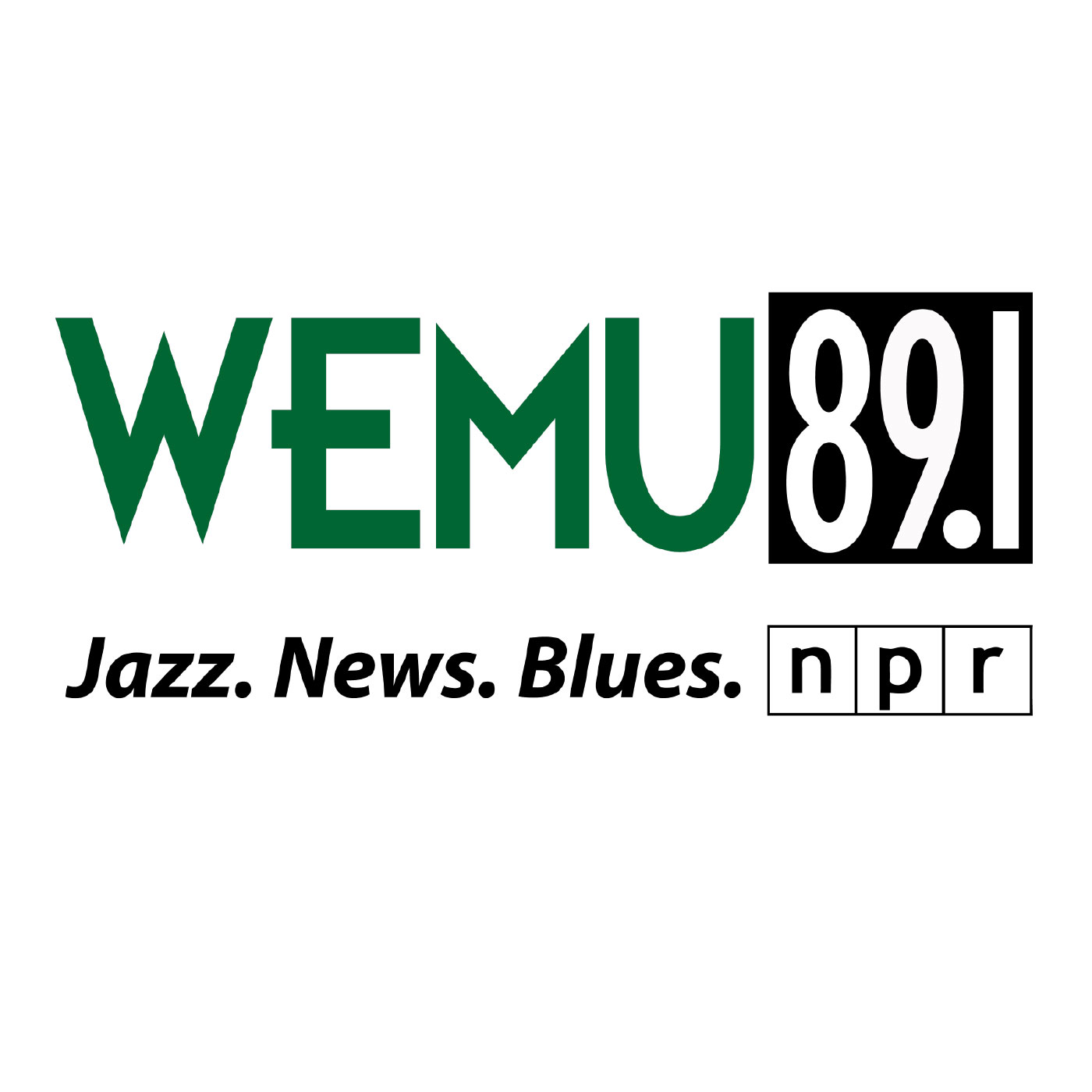 89.1 WEMU: Issues of the Environment