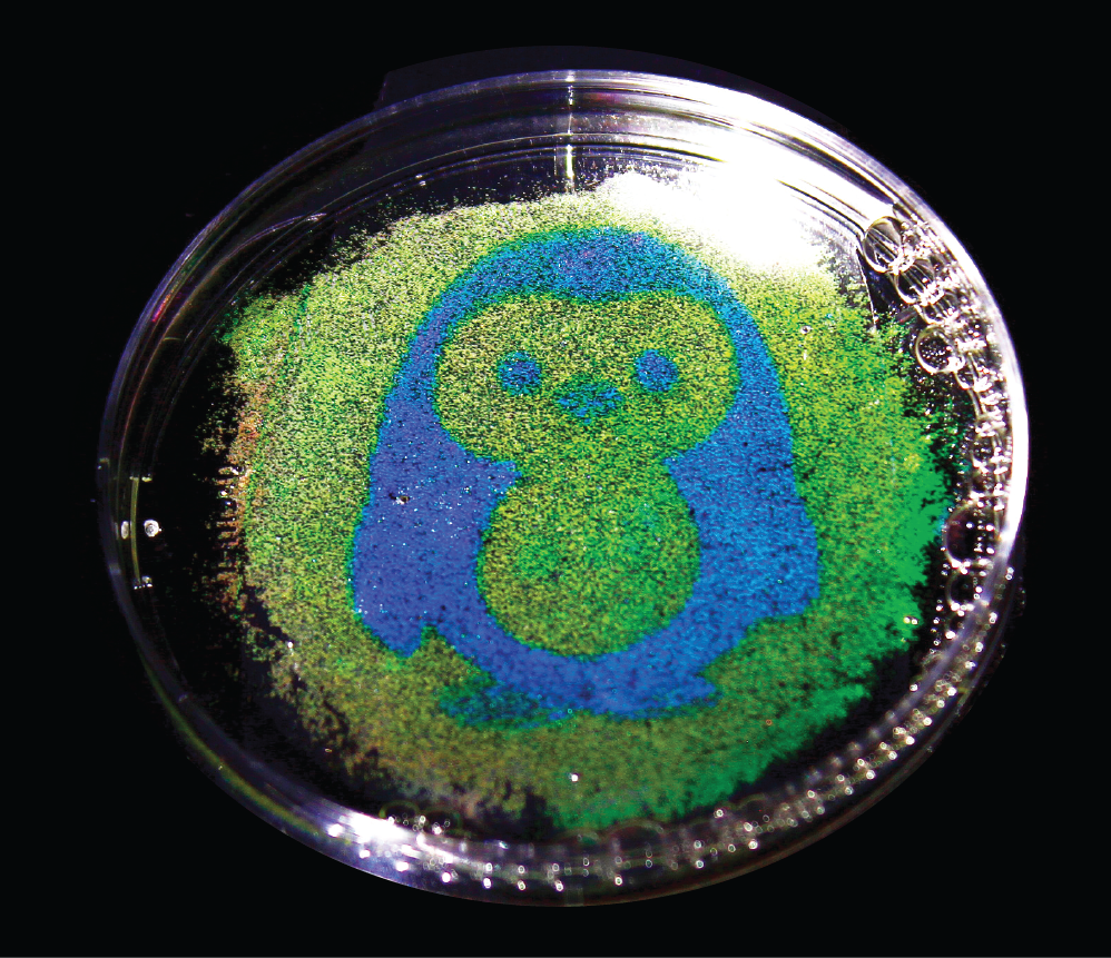 water droplets on   petri dish depict an illustration of