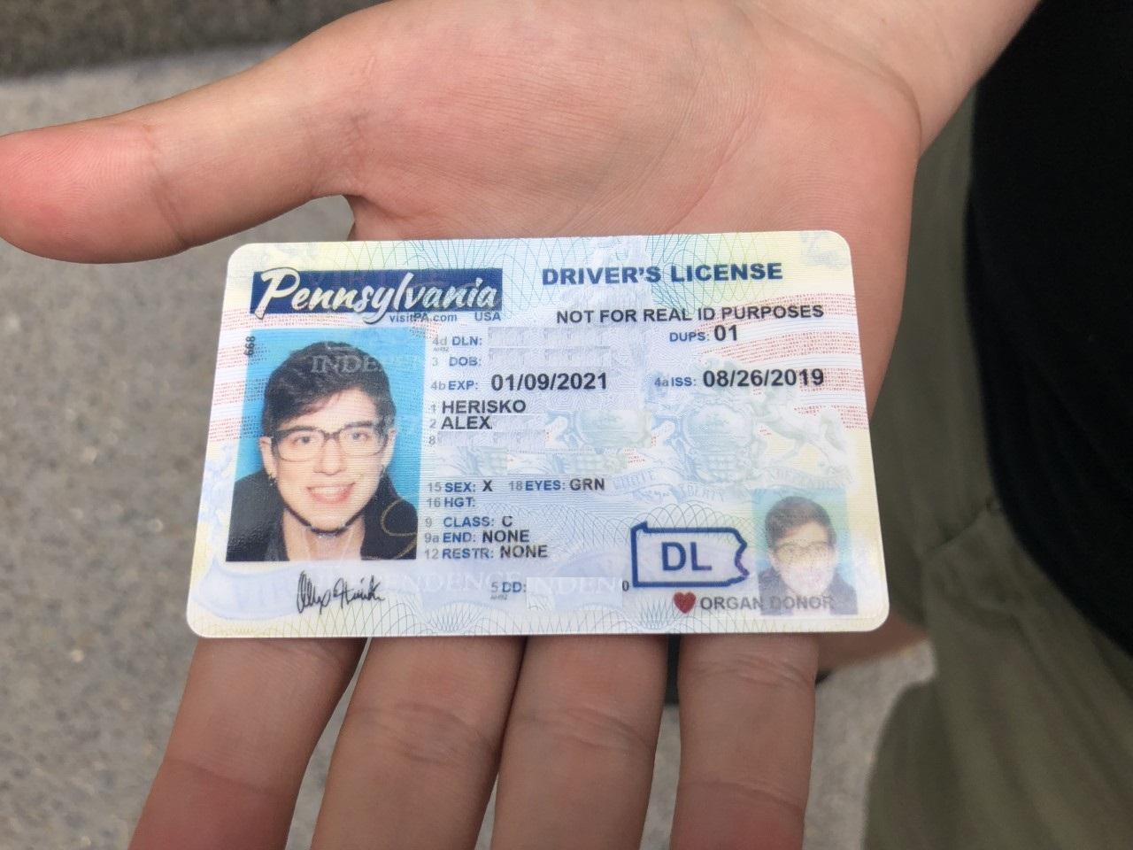 Pennsylvania Driver License