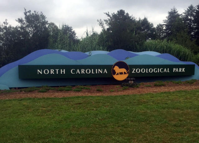 Visiting Greensboro - NC Zoo