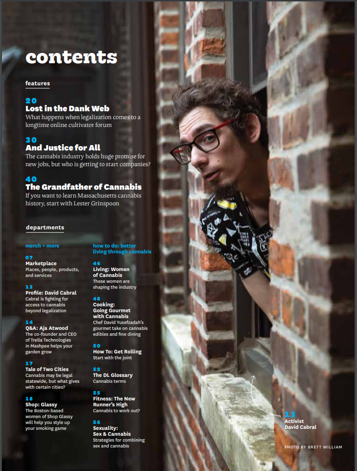 The table of contents from the Summer 2019 issue of &quot;Different Leaf.&quot; It's a magazine about &quot;cannabis culture,&quot; published in Northampton, Massachusetts. (Courtesy Different Leaf)