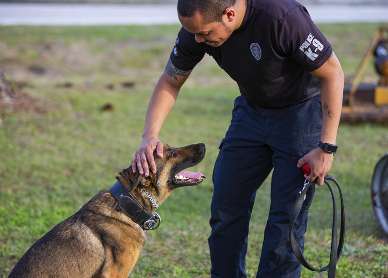 Bill To Increase Penalty For Killing Police Canine Advances | WFSU