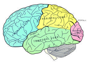 How Trauma Abuse And Neglect In >> Childhood Trauma Leads To Brains Wired For Fear Side Effects How Trauma Abuse And Neglect In >> Childhood Trauma Leads To Brains Wired For Fear Side Effects
