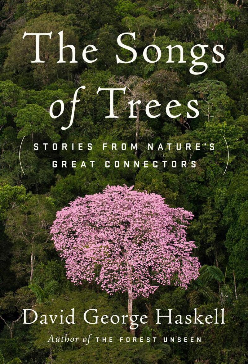Biologist Studies The Voices (And Songs) Of Trees WGLT