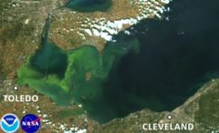 New report details US plan to fight Lake Erie algae blooms ...