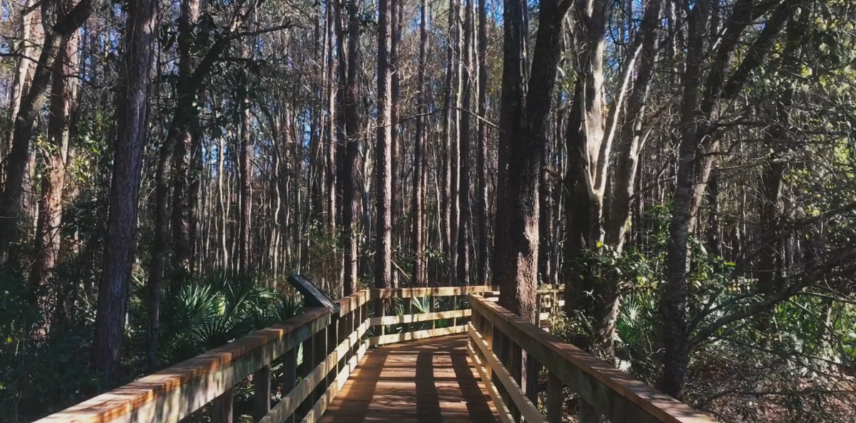 VIDEO Exploring NE Florida's Camp Milton Historic Preserve WJCT NEWS