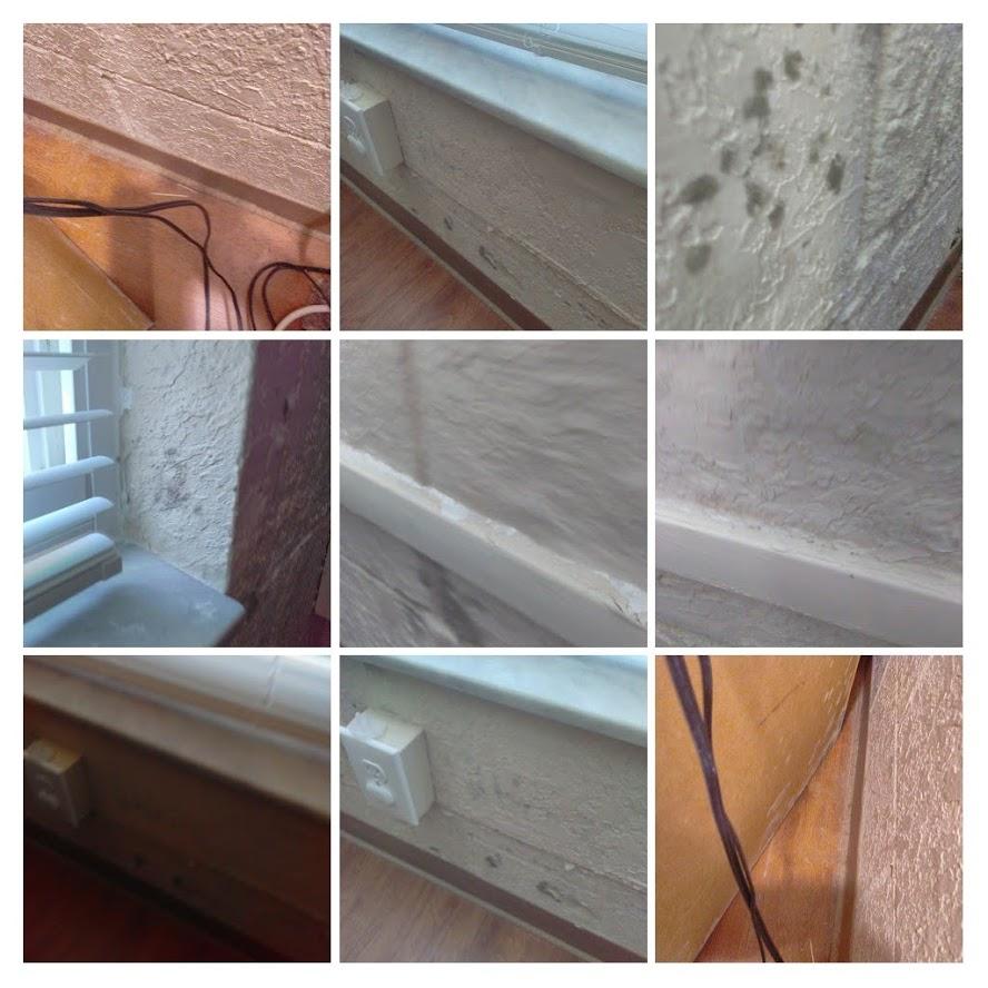 Jacksonville Affordable Housing Residents Struggle With Trash Pile Ups