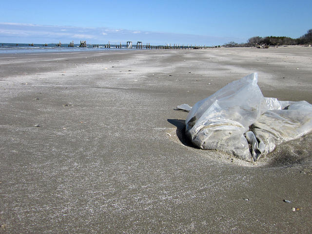 Jacksonville Beach Council Votes To Support Changing Plastic Bag Jacksonville Beach Council Votes To Support Changing Plastic Bag Regulation