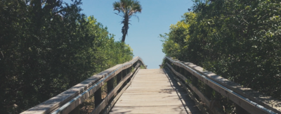 Exploring Ne Florida S Kathryn Abbey Hanna Park Wjct News