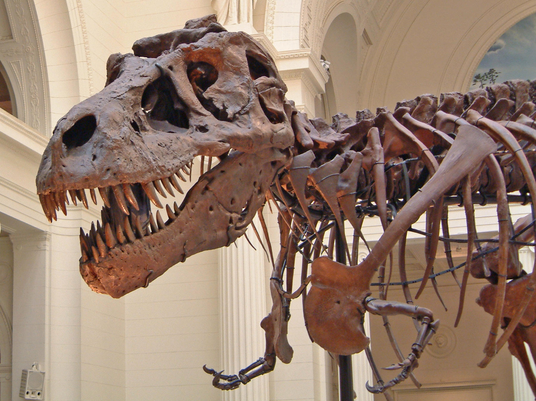 Stone Cold An Action Rpg Where You Are An Undead T rex Skeleton R Stone Cold An Action Rpg Where You Are An Undead T rex Skeleton R