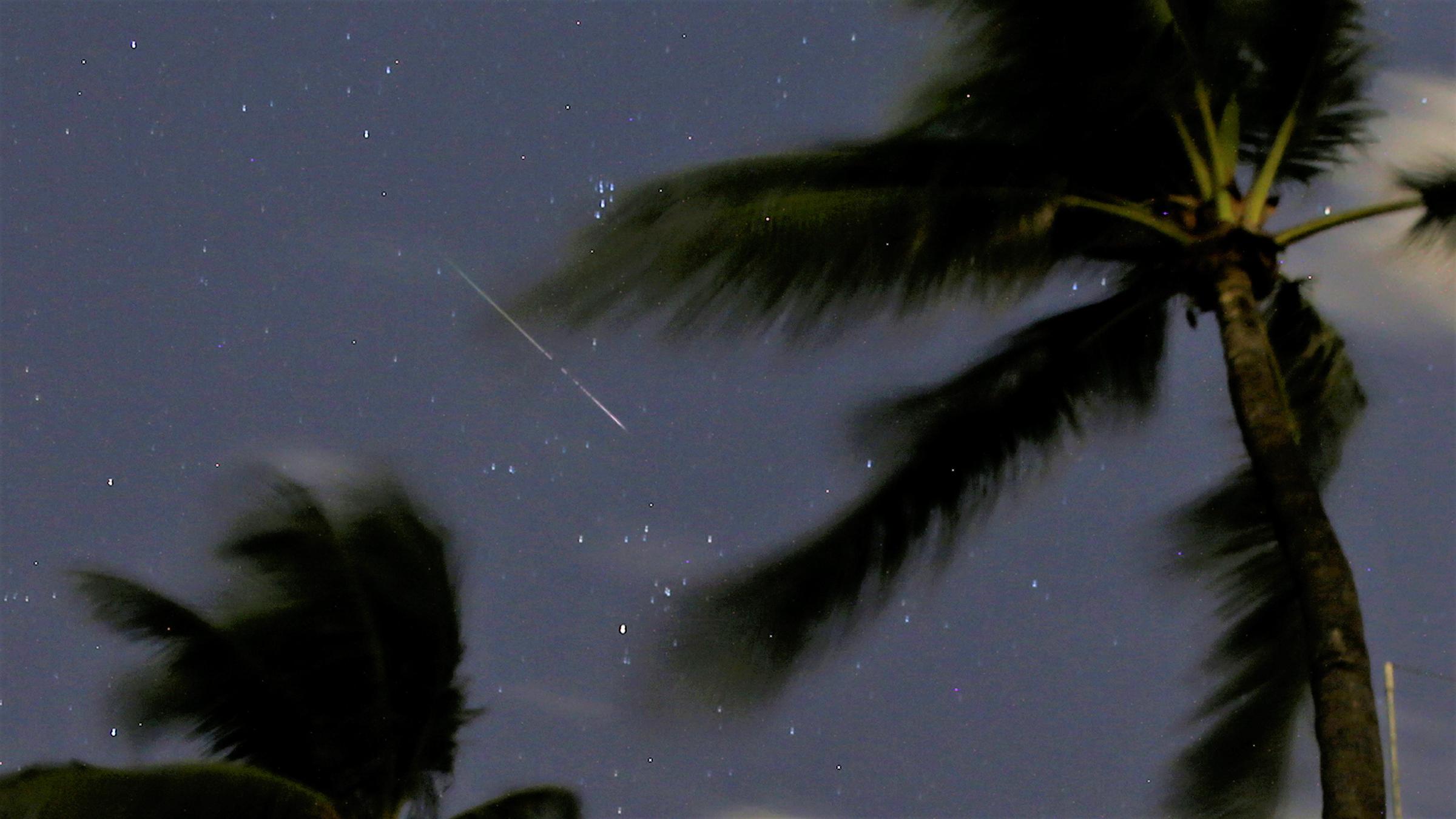 Watch Perseid Meteor Shower WJCT NEWS