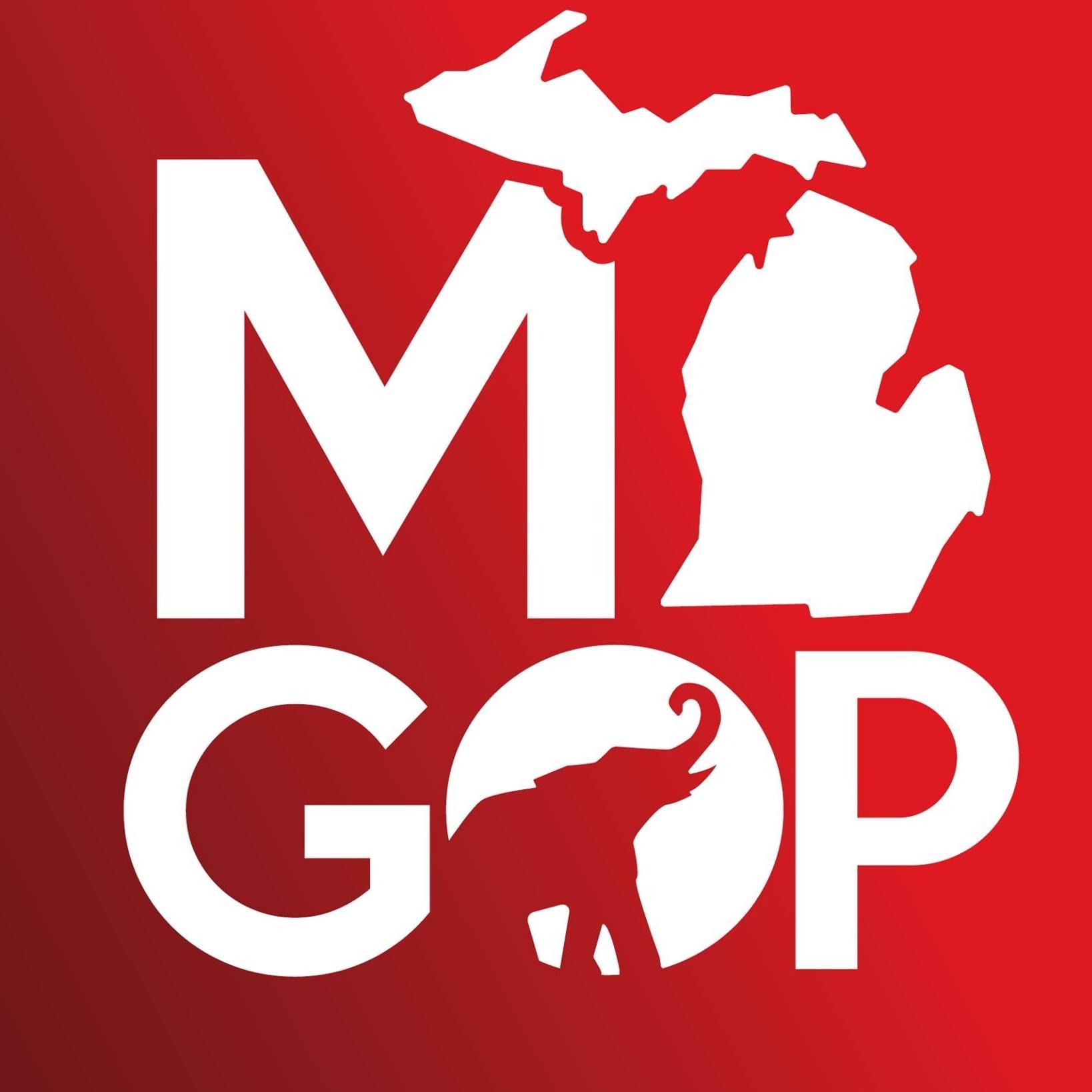 Michigan Republican Party Expected To Choose New Leadership After Chair