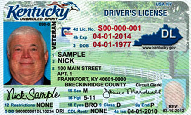 what is the audit number on drivers license