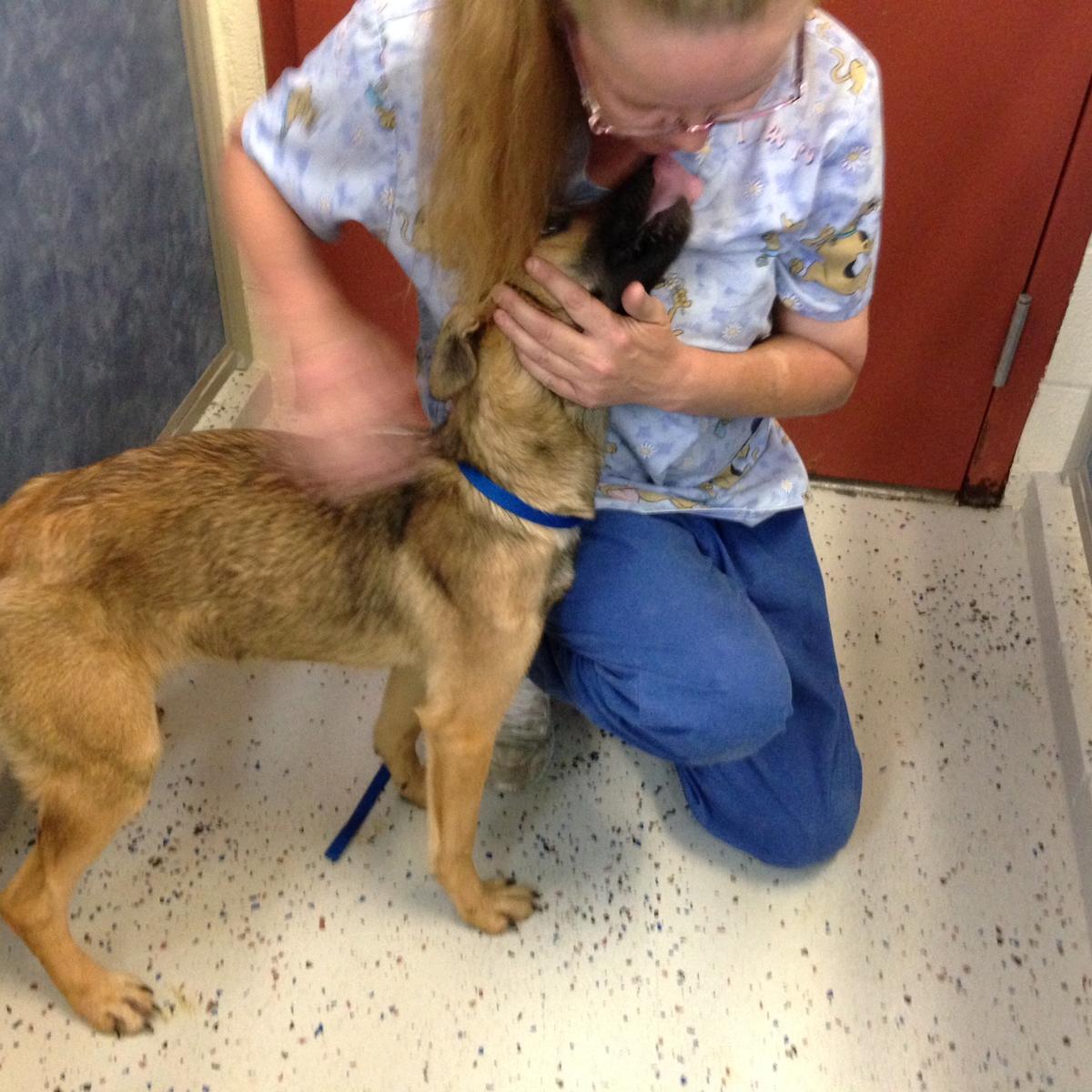 Shelters Across Kentucky Caring for Animals Rescued from Edmonson County Facility WKU Public Radio