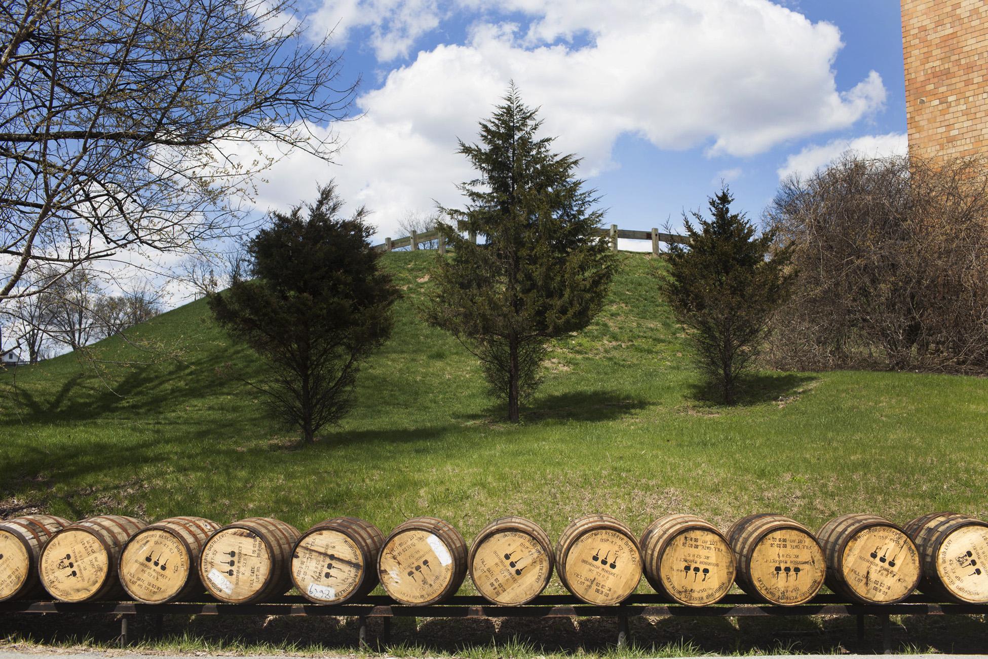 Another Year Another Record Number Of Visitors Along The Kentucky