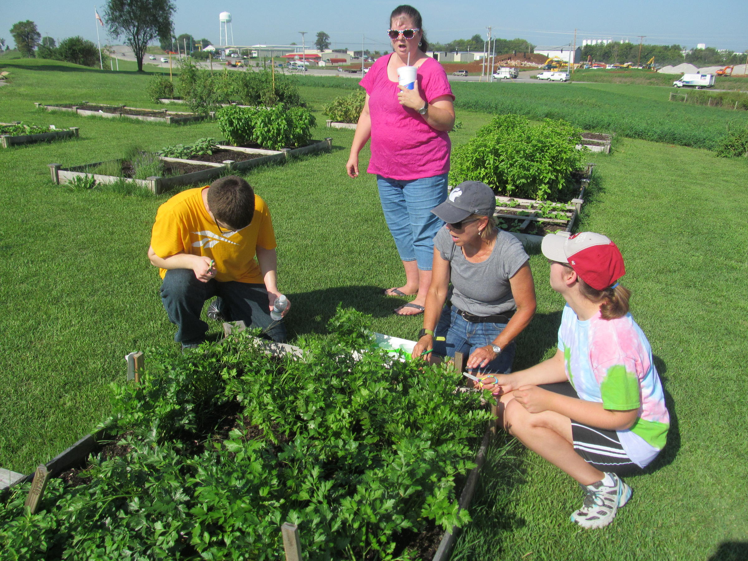 'Top Crops' Grows Top Quality Gardens and Gardeners WKU Public Radio