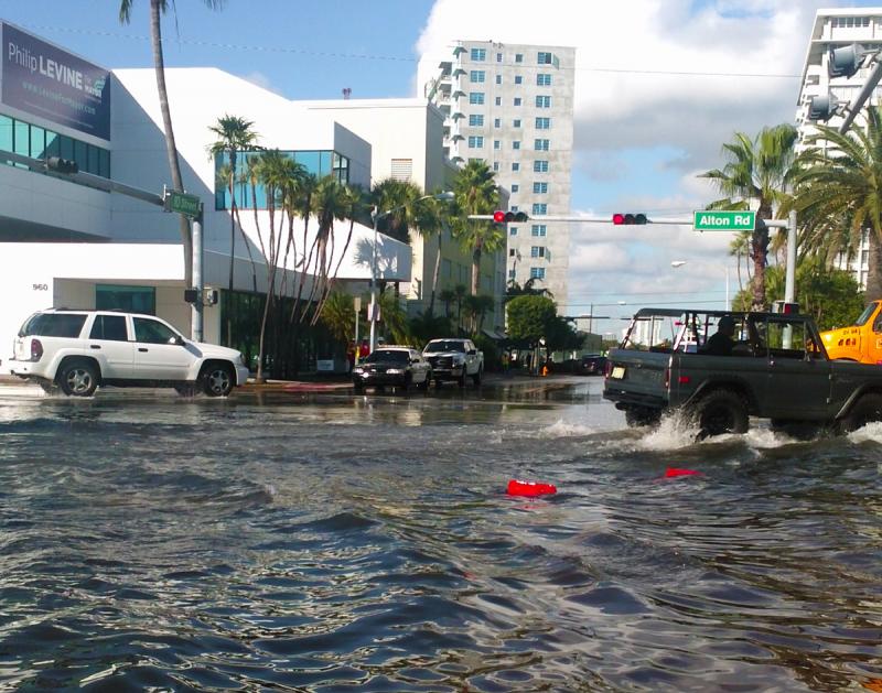 What South Florida S Spring Tide Or King Looks Like Wlrn