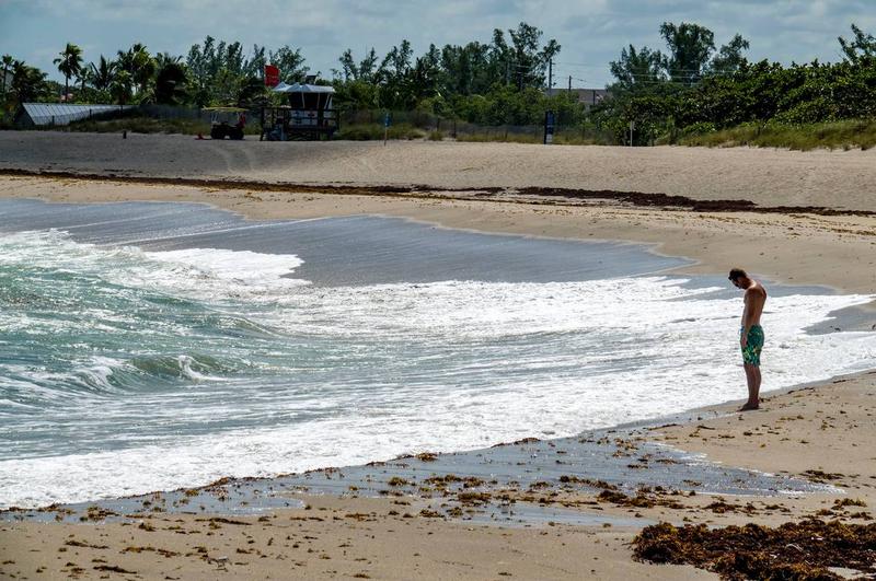 South Florida Beaches Open After Red Tide Outbreak Forced Closings Testing Expands In South Florida After Rare Red Tide Ears Off Palm Beach County