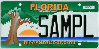 How To Create A Specialty License Plate In Florida Wlrn