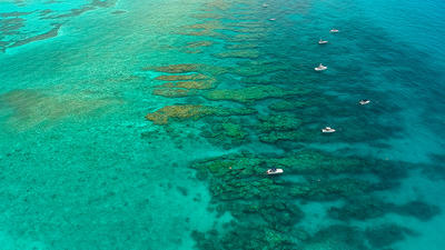 Keys Sanctuary Unveils Plan To Protect Reef Surrounding Habitats