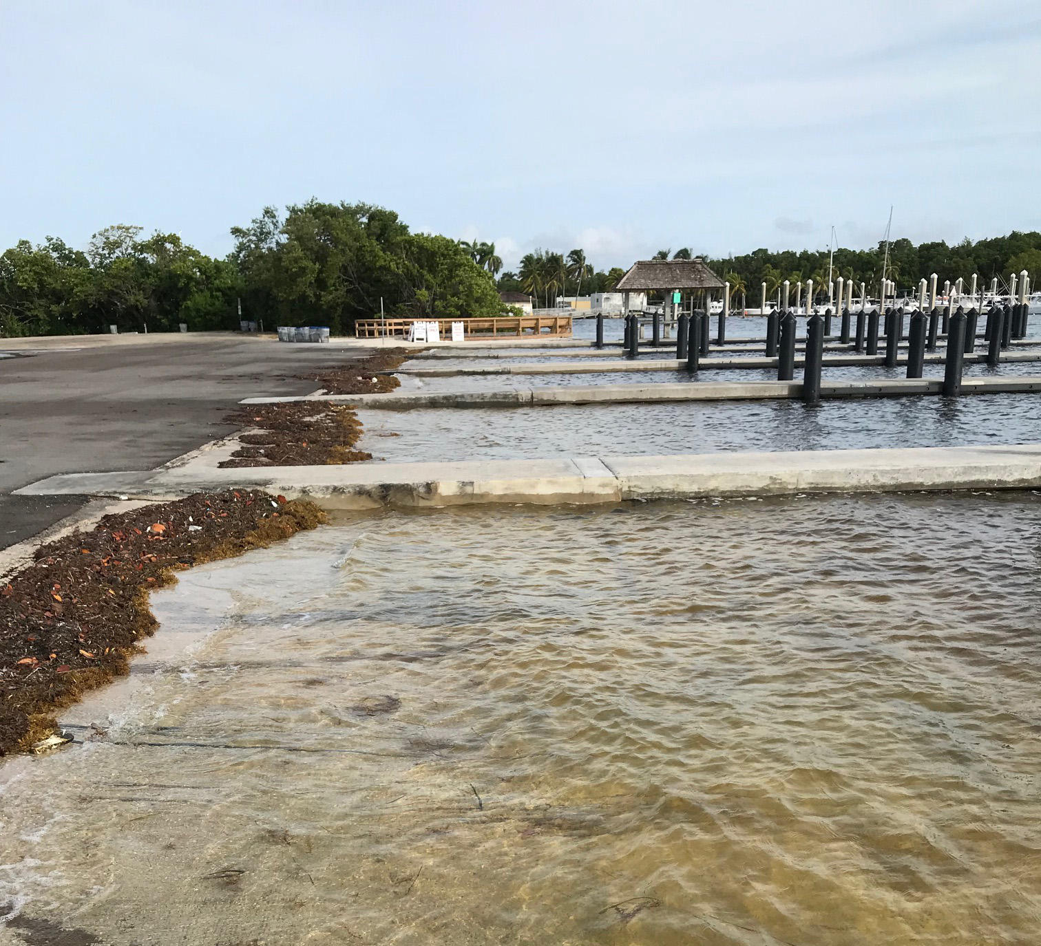 King Tide Gives South Florida A Taste Of Life Underwater WLRN