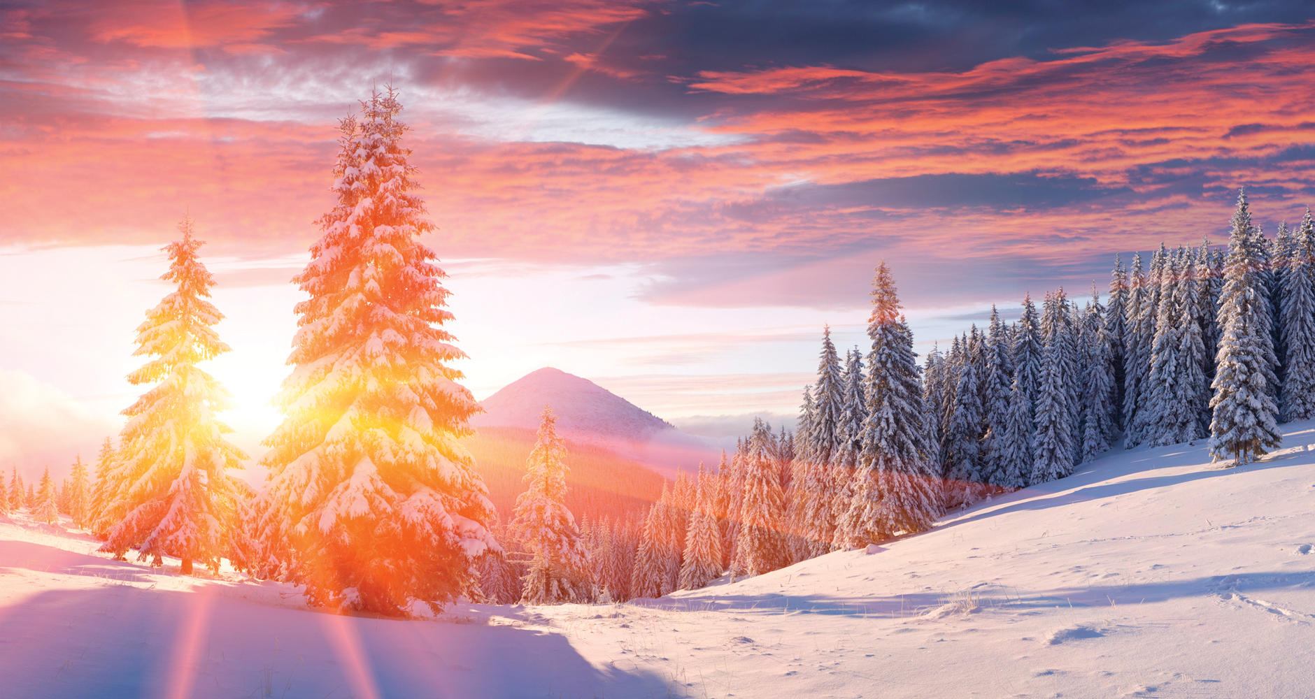 winter solstice – Higher Density Blog
