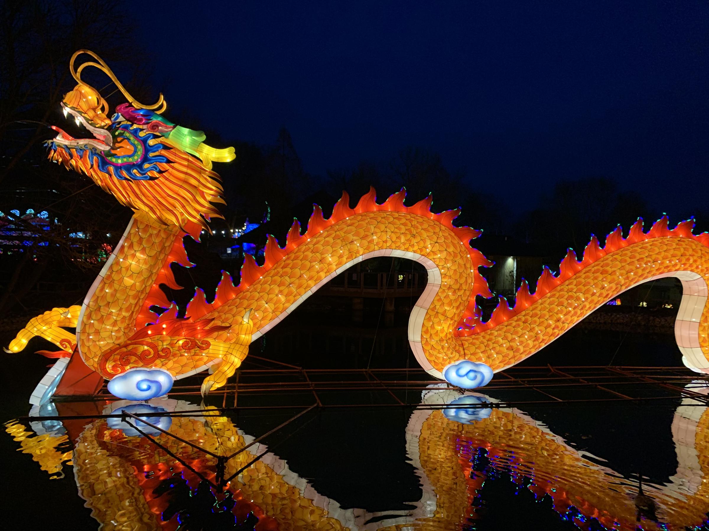 Louisville Zoo extends Wild Lights WMKY