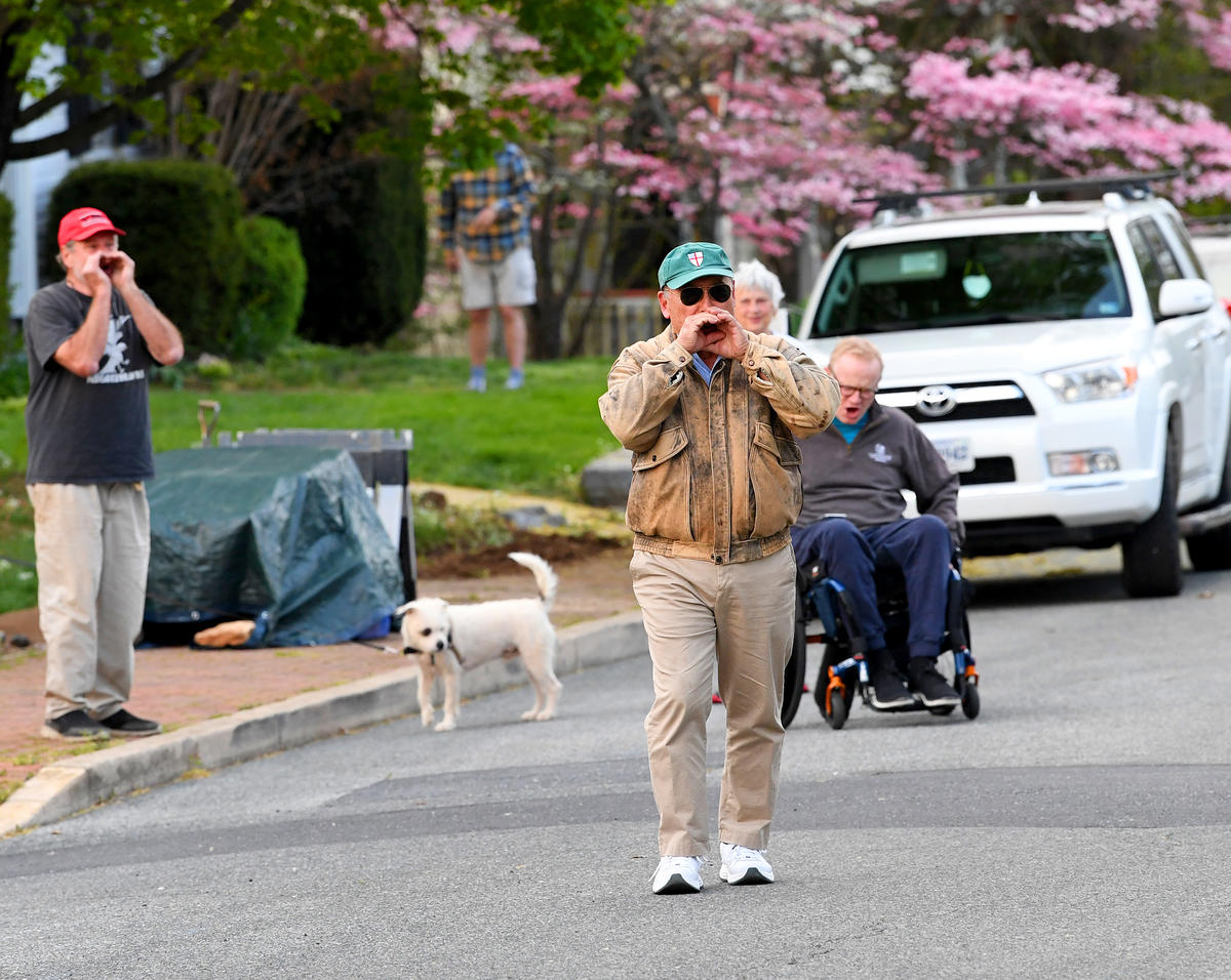 Goodnight gorilla online image