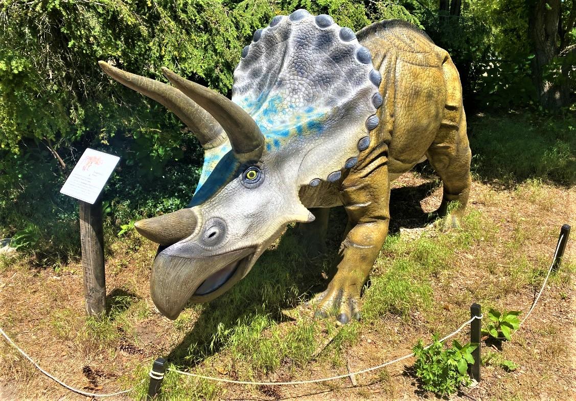 dinosaur that rams with head