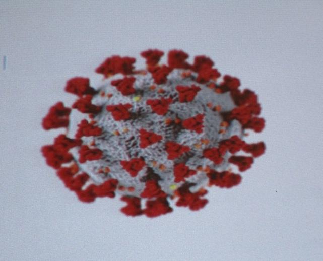 Coronavirus antibody test a 'positive development'