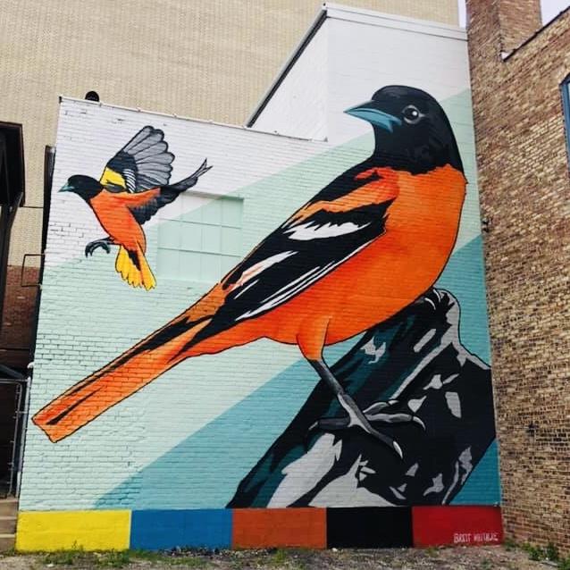 'Audubon Mural Project Rockford' To Add New Bird Murals WNIJ and WNIU