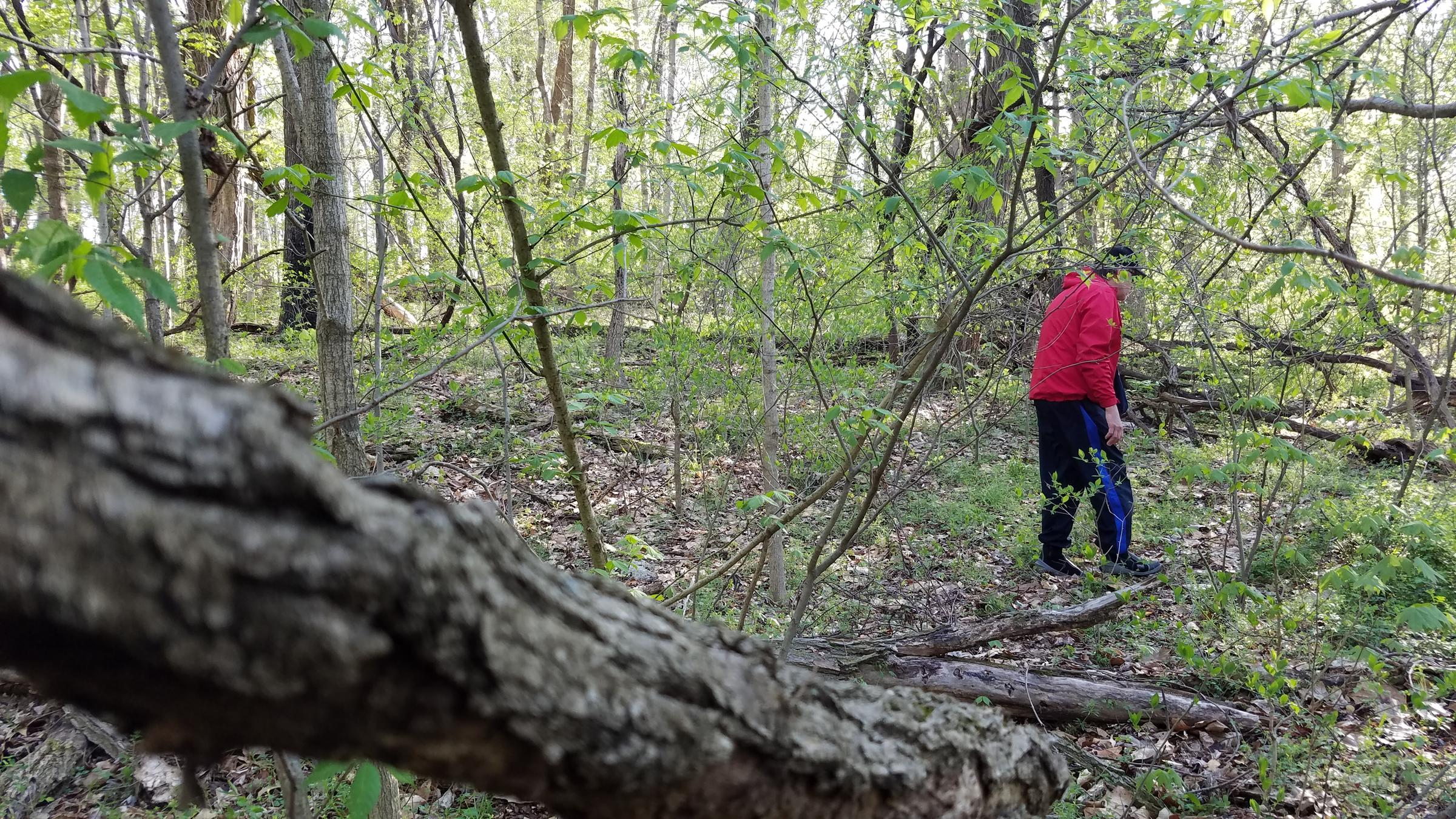 Morel Hunting in the Pandemic WNIN
