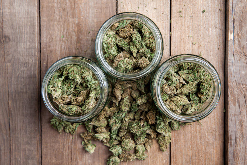 Image result for Michigan Cuts Pot Licensing Fees with Up To 60% in 19 Cities Disproportionately Affected by War on Drugs