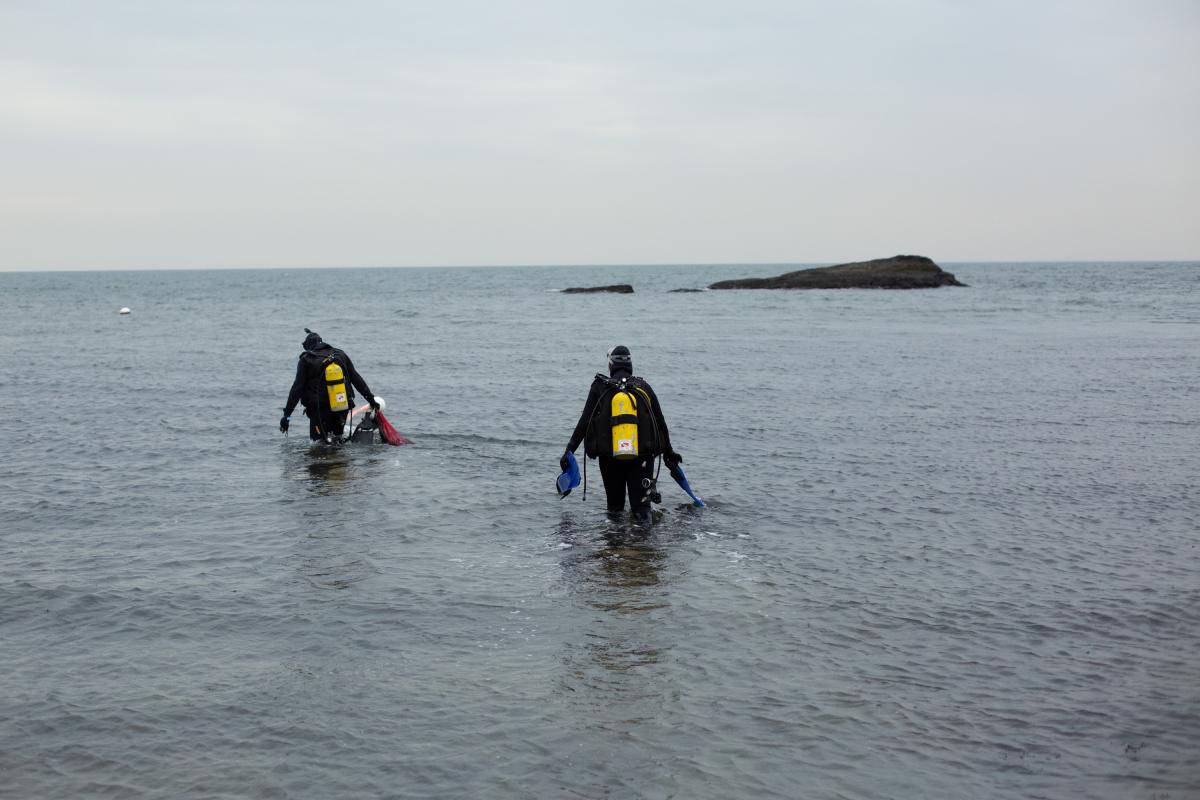 Grace (left) and DiPreta wade into the water of Long Island Sound off a beach in Milford on Friday, Nov. 22. (Patrick Skahill/Connecticut Public Radio)