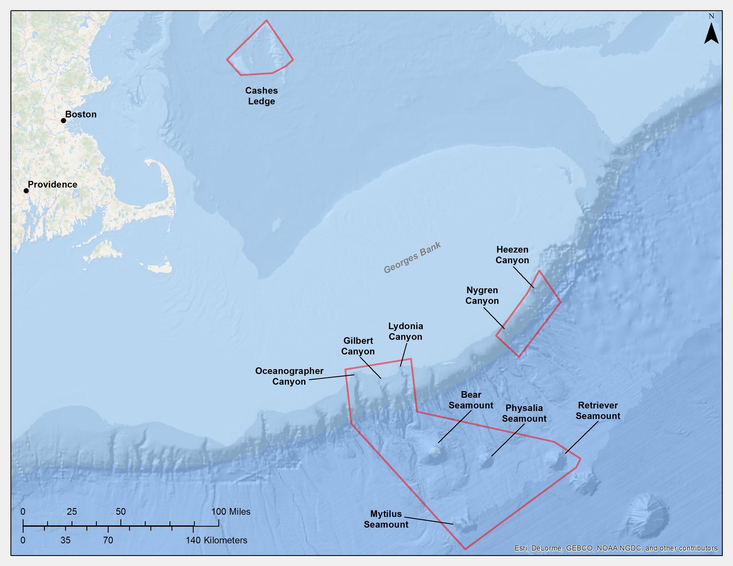 Could New England Host The Atlantic Ocean S First Ever Marine
