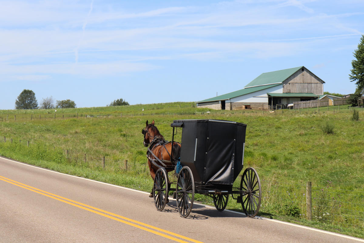 Amish Paradise Living Uninsured But Healthy In Rural Ohio WOSU Radio