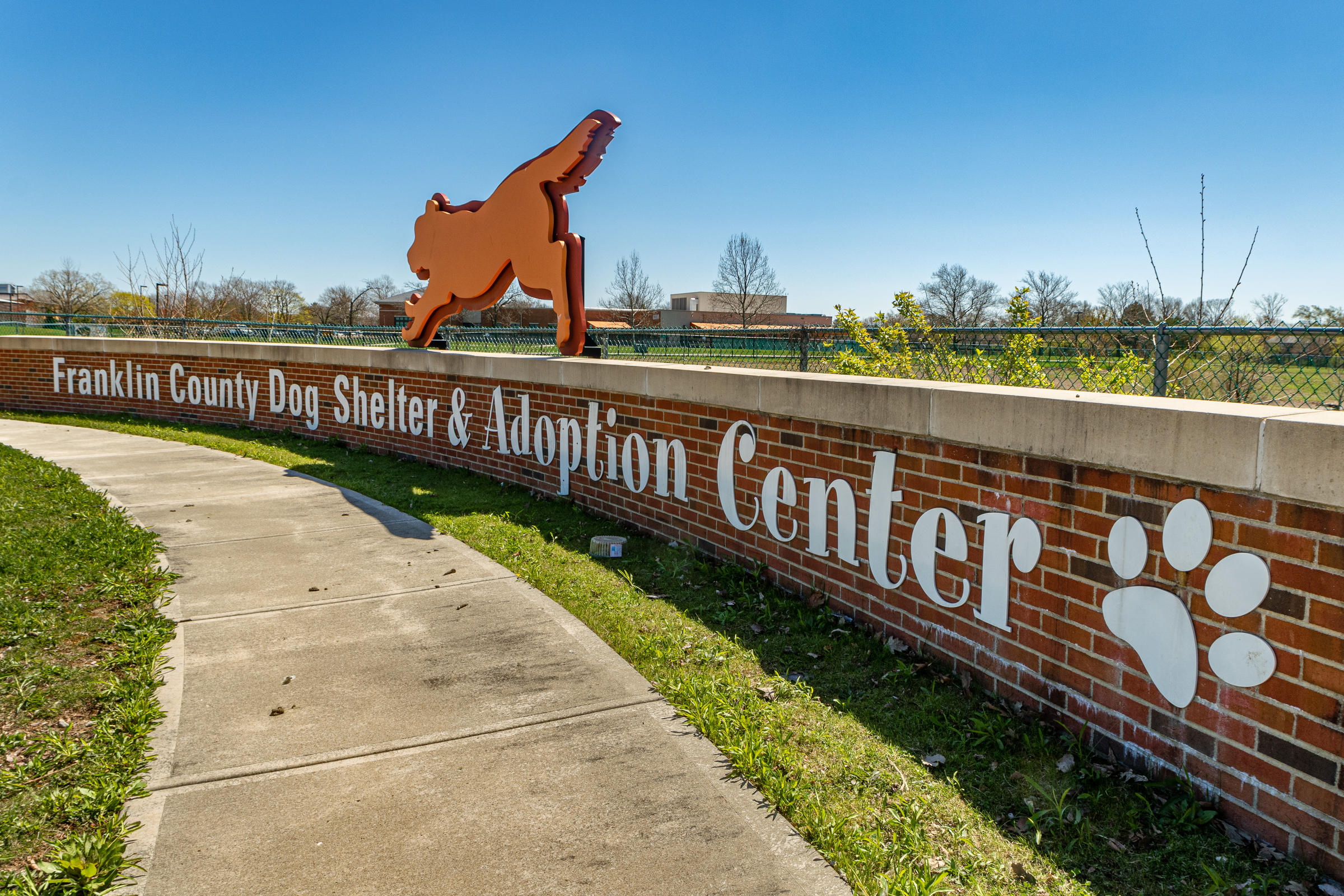 Coronavirus In Ohio More Families Adopting Pets To Fill Dog Days Of