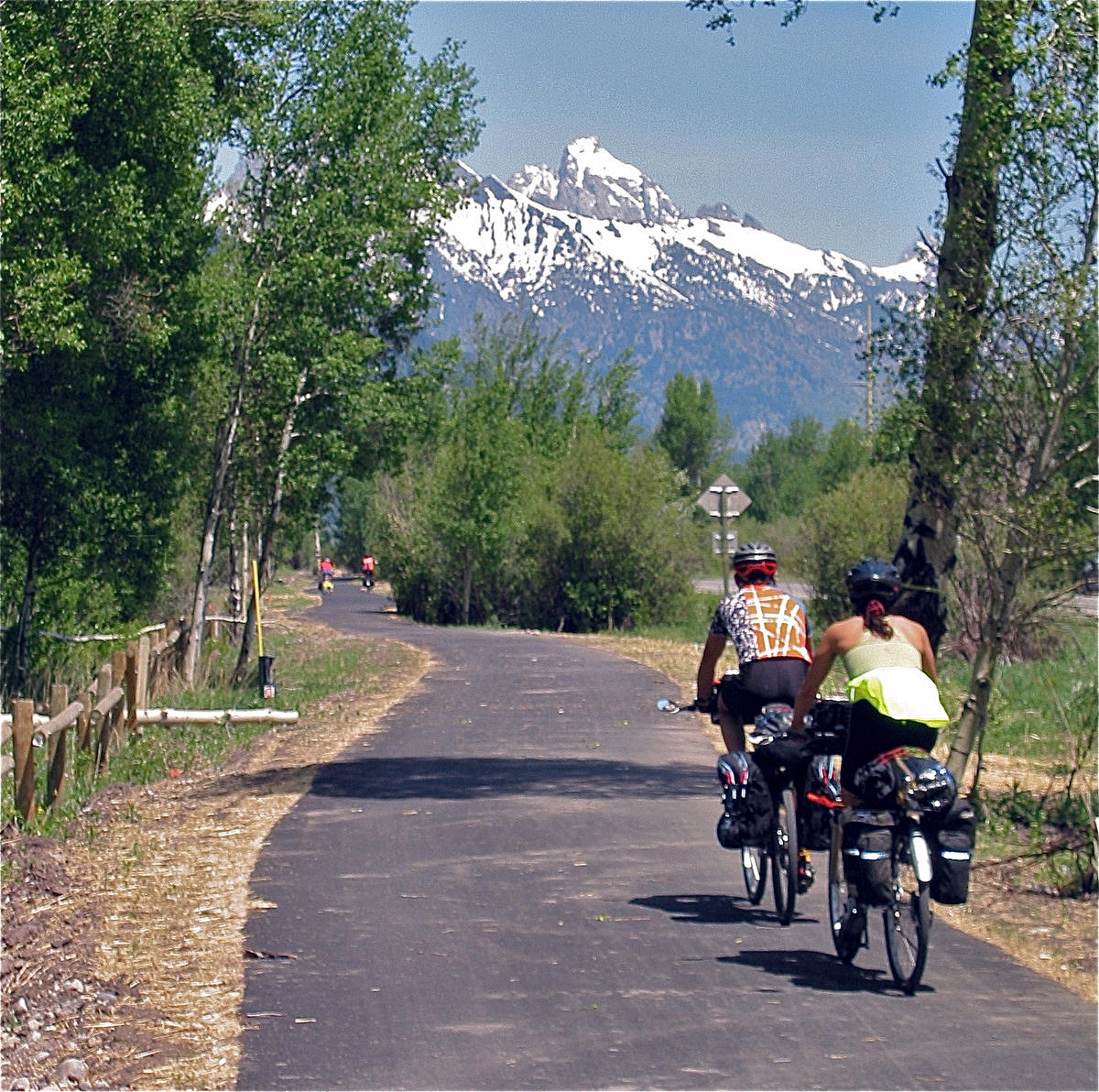 beginner mountain bike trails