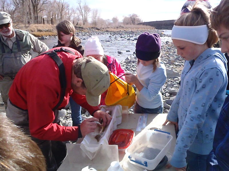 Meeteetse School Wins Science Award Wyoming Public Media