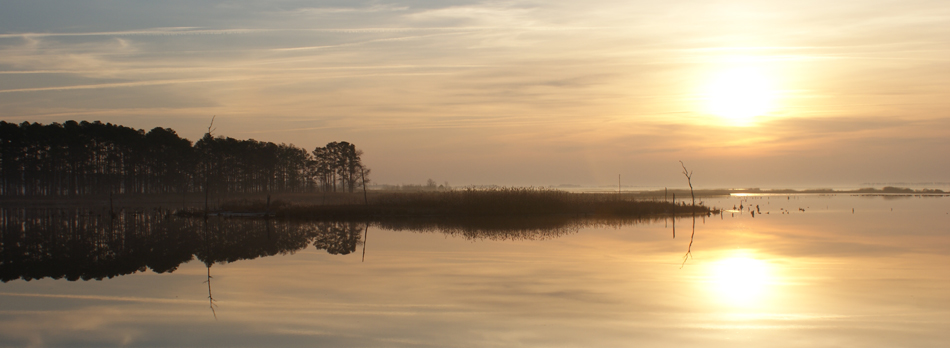 Efforts to Preserve Wildlife Refuge in Chesapeake ...