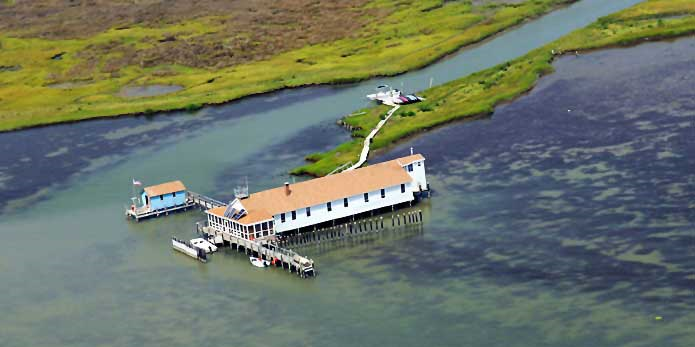 Fox island essay 07 picture