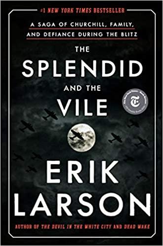 book splendid and the vile