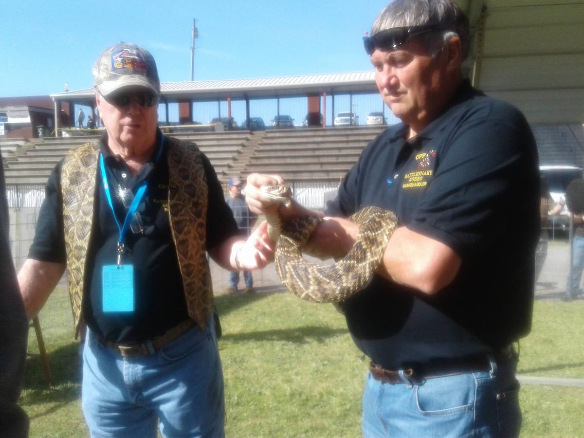 Rattlesnake Rodeo offers unique experiences to citizens and visitors of