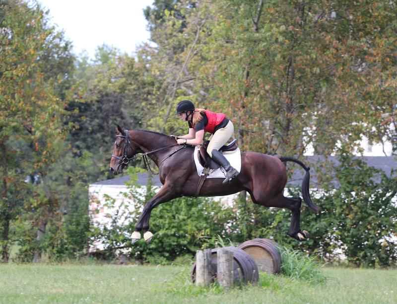 Thoroughbred Makeover Competition To Showcase Life After Racing WUKY