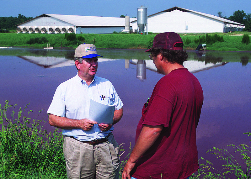 N.C. Hog Farm Neighbors File Nuisance Complaints WUNC