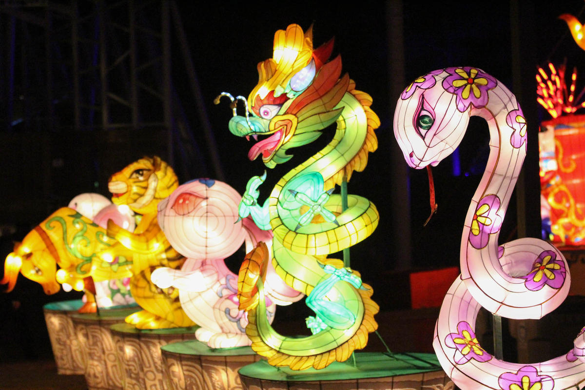 PHOTOS: Chinese Lanterns Light Up Cary Through The Holidays | WUNC